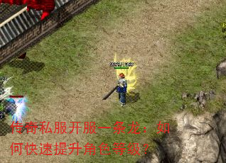 传奇私服开服一条龙:如何快速提升角色等级? 传奇私服开服一条龙:如何快速提升角色等级?