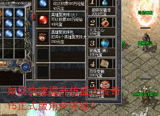 如何快速提升仿盛大传奇15正式版角色等级? 如何快速提升仿盛大传奇15正式版角色等级?
