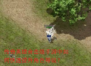 传奇英雄合击版手游中如何快速提升角色等级? 传奇英雄合击版手游中如何快速提升角色等级?