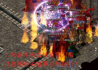 1.95金牛合击技能学习需注意哪些关键要点与技巧? 1.95金牛合击技能学习需注意哪些关键要点与技巧?