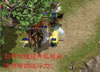 如何快速提升私服合击传奇的战斗力? 如何快速提升私服合击传奇的战斗力?