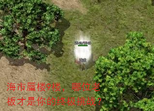 海市蜃楼9楼,哪位老板才是你的终极挑战? 海市蜃楼9楼,哪位老板才是你的终极挑战?