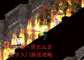 半兽古墓一层怎么走?新手入门路线攻略 半兽古墓一层怎么走?新手入门路线攻略