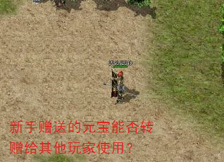 新手赠送的元宝能否转赠给其他玩家使用? 新手赠送的元宝能否转赠给其他玩家使用?