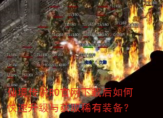 仙境传说RO官网下载后如何快速升级与获取稀有装备? 仙境传说RO官网下载后如何快速升级与获取稀有装备?