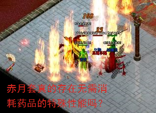 赤月套真的存在无需消耗药品的特殊性能吗? 赤月套真的存在无需消耗药品的特殊性能吗?