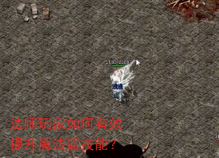 法师玩家如何有效提升魔法盾技能? 法师玩家如何有效提升魔法盾技能?