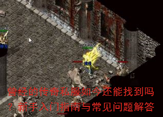 曾经的传奇私服如今还能找到吗?新手入门指南与常见问题解答 曾经的传奇私服如今还能找到吗?新手入门指南与常见问题解答
