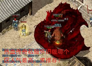热血传奇私服怀旧版哪个区人气最高,求推荐? 热血传奇私服怀旧版哪个区人气最高,求推荐?