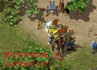 想玩转传奇私服,没朋友带路怎么行? 想玩转传奇私服,没朋友带路怎么行?