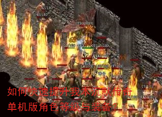 如何快速提升我本沉默传奇单机版角色等级与装备? 如何快速提升我本沉默传奇单机版角色等级与装备?