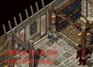 如何在新月传奇私服快速提升角色等级? 如何在新月传奇私服快速提升角色等级?