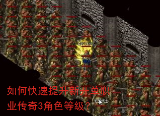 如何快速提升新开单职业传奇3角色等级? 如何快速提升新开单职业传奇3角色等级?
