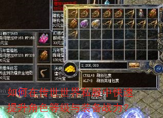 如何在传世世界私服中快速提升角色等级与装备战力? 如何在传世世界私服中快速提升角色等级与装备战力?
