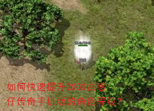 如何快速提升2003古惑仔传奇手机版的角色等级? 如何快速提升2003古惑仔传奇手机版的角色等级?