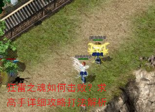 狂雷之魂如何击败?求高手详细攻略打法解析 狂雷之魂如何击败?求高手详细攻略打法解析