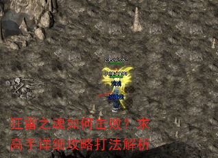 狂雷之魂如何击败?求高手详细攻略打法解析 狂雷之魂如何击败?求高手详细攻略打法解析