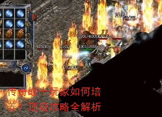 传奇战士玩家如何培养?顶级攻略全解析 传奇战士玩家如何培养?顶级攻略全解析