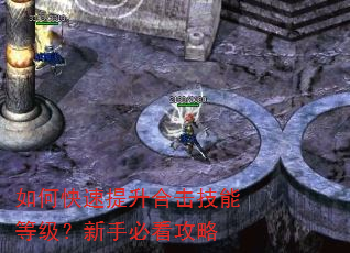 如何快速提升合击技能等级?新手必看攻略 如何快速提升合击技能等级?新手必看攻略