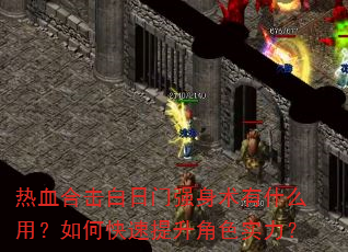 热血合击白日门强身术有什么用?如何快速提升角色实力? 热血合击白日门强身术有什么用?如何快速提升角色实力?
