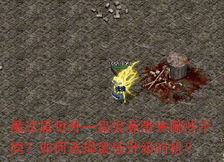 魔法盾每升一级究竟带来哪些不同?如何选择最佳升级时机? 魔法盾每升一级究竟带来哪些不同?如何选择最佳升级时机?