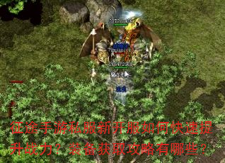 征途手游私服新开服如何快速提升战力?装备获取攻略有哪些? 征途手游私服新开服如何快速提升战力?装备获取攻略有哪些?