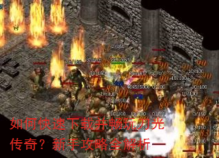 如何快速下载并畅玩刀光传奇?新手攻略全解析 如何快速下载并畅玩刀光传奇?新手攻略全解析