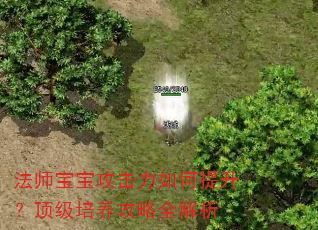 法师宝宝攻击力如何提升?顶级培养攻略全解析 法师宝宝攻击力如何提升?顶级培养攻略全解析