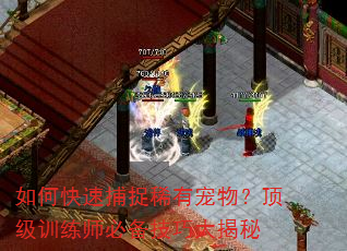 如何快速捕捉稀有宠物?顶级训练师必备技巧大揭秘 如何快速捕捉稀有宠物?顶级训练师必备技巧大揭秘