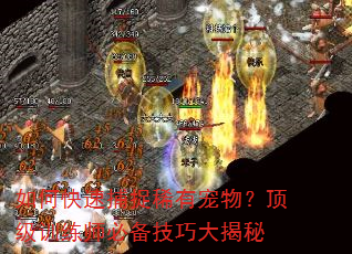如何快速捕捉稀有宠物?顶级训练师必备技巧大揭秘 如何快速捕捉稀有宠物?顶级训练师必备技巧大揭秘