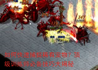 如何快速捕捉稀有宠物?顶级训练师必备技巧大揭秘 如何快速捕捉稀有宠物?顶级训练师必备技巧大揭秘