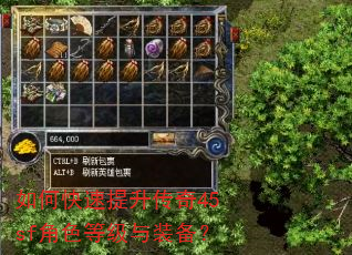 如何快速提升传奇45sf角色等级与装备? 如何快速提升传奇45sf角色等级与装备?