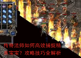 传奇法师如何高效捕捉精英宝宝?攻略技巧全解析 传奇法师如何高效捕捉精英宝宝?攻略技巧全解析
