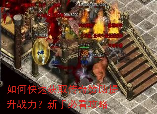 如何快速获取传奇赞助提升战力?新手必看攻略 如何快速获取传奇赞助提升战力?新手必看攻略