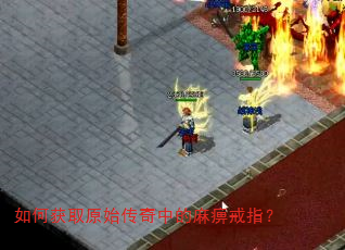 如何获取原始传奇中的麻痹戒指? 如何获取原始传奇中的麻痹戒指?