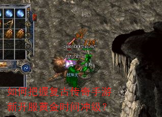 如何把握复古传奇手游新开服黄金时间冲级? 如何把握复古传奇手游新开服黄金时间冲级?