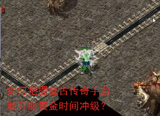 如何把握复古传奇手游新开服黄金时间冲级? 如何把握复古传奇手游新开服黄金时间冲级?