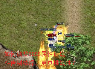 如何调整BOSS属性让战斗告别枯燥,更具挑战性? 如何调整BOSS属性让战斗告别枯燥,更具挑战性?