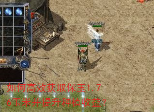 如何高效获取保玉1.76玉米并提升种植收益? 如何高效获取保玉1.76玉米并提升种植收益?